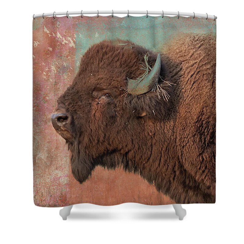 Bison Shower Curtain featuring the photograph Dreaming in Color by Mary Hone