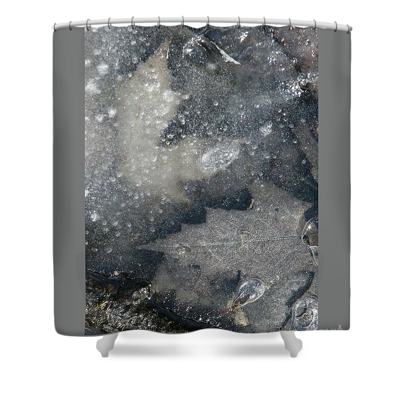 Leaf Shower Curtain featuring the photograph Dreamy Leaves-III by Patricia Overmoyer