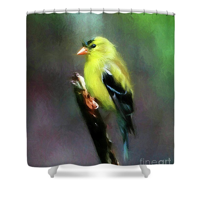 Yellow Finch Shower Curtain featuring the digital art Dressed To Kill by Tina LeCour