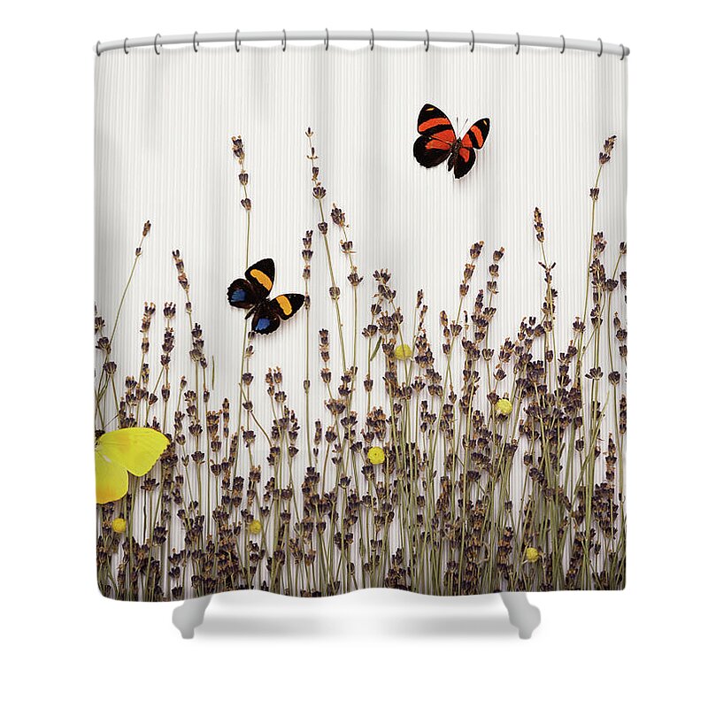 Insect Shower Curtain featuring the photograph Dried Lavender by Sam+yvonne