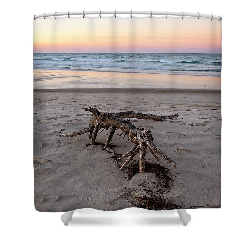 Sea Shower Curtain featuring the photograph Driftwood by Catherine Reading
