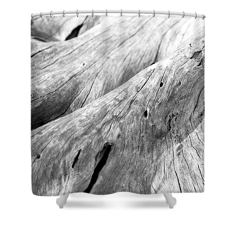 Driftwood Shower Curtain featuring the photograph Driftwood, Jekyll Island, Georgia by Jason Quick