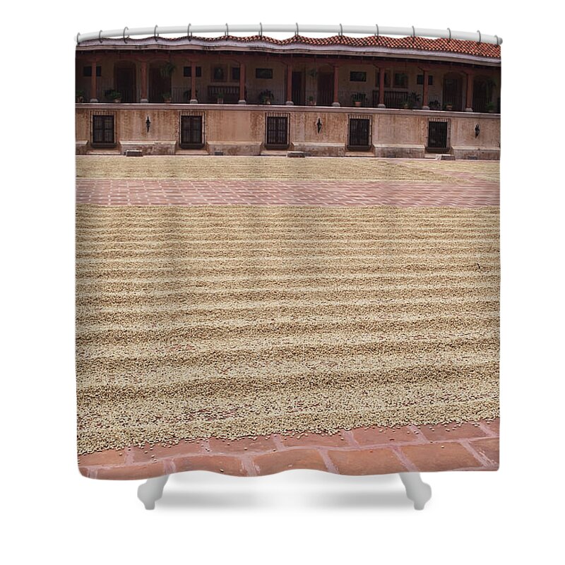 Outdoors Shower Curtain featuring the photograph Drying Coffee Beans by Guy Heitmann / Design Pics