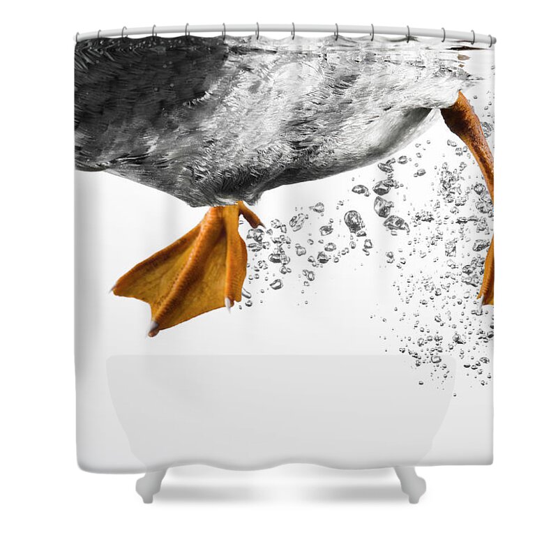 Underwater Shower Curtain featuring the photograph Duck Feet Swimming by Pier