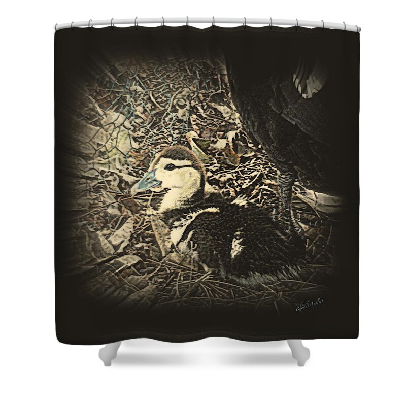 Muscovy Shower Curtain featuring the mixed media Duckling Muscovy by YoMamaBird Rhonda