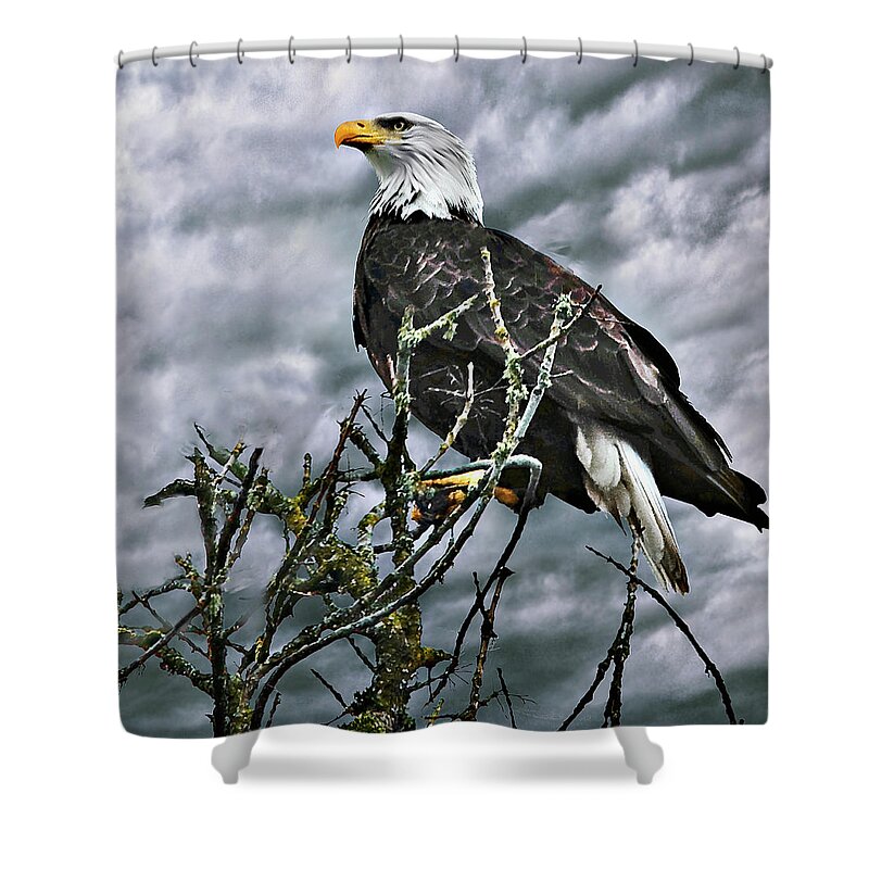 Eagle Eye Shower Curtain featuring the digital art Eagle Eye by John Christopher