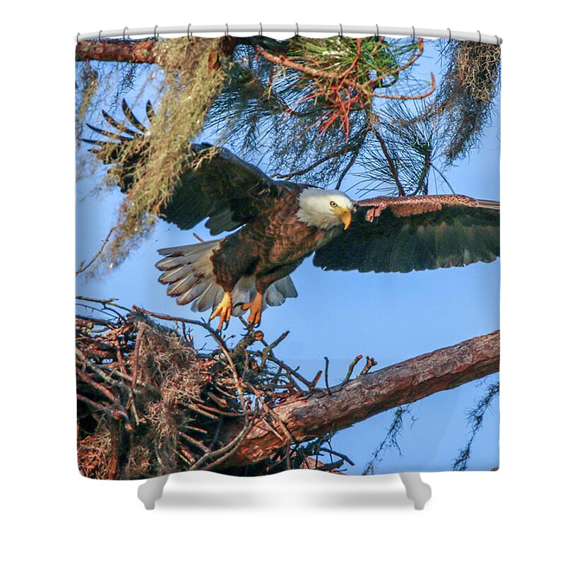 Eagle Shower Curtain featuring the photograph Eagle Launch by Tom Claud