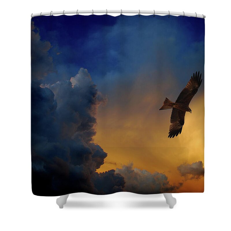 Animal Themes Shower Curtain featuring the photograph Eagle Over The Top by Gopan G Nair