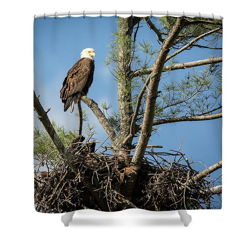  Shower Curtain featuring the photograph Eagle Portrait by Doug McPherson