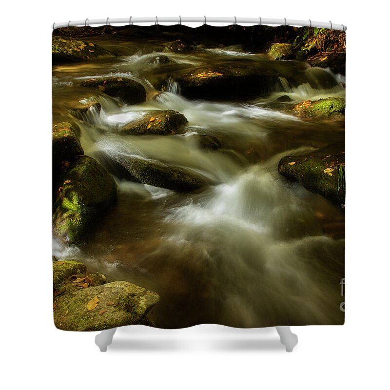Fall Shower Curtain featuring the photograph Early Autumn Light by Mike Eingle