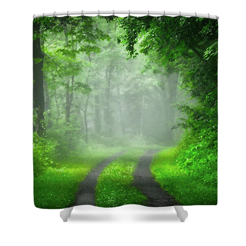 Fog Shower Curtain featuring the photograph Early Morning Fog by Scott Burd