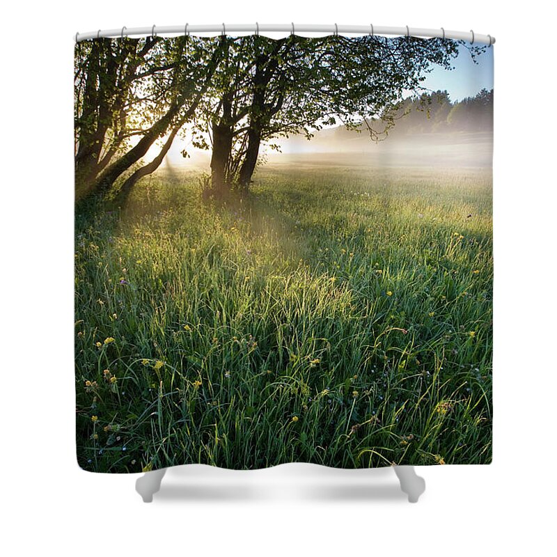 Scenics Shower Curtain featuring the photograph Early Morning by Ingmar Wesemann
