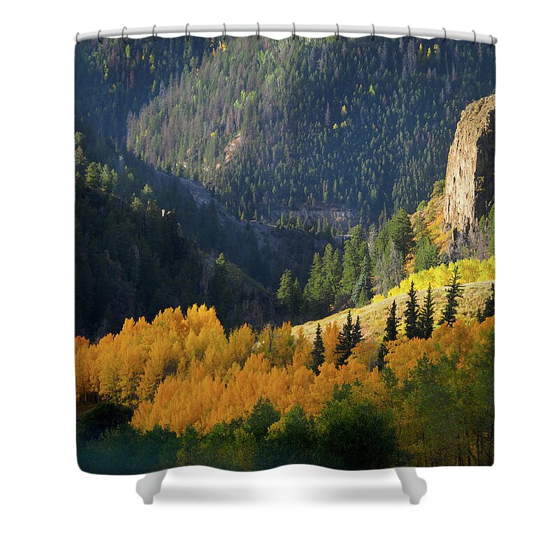 Aspens Shower Curtain featuring the photograph Early Morning Light by Johnny Boyd
