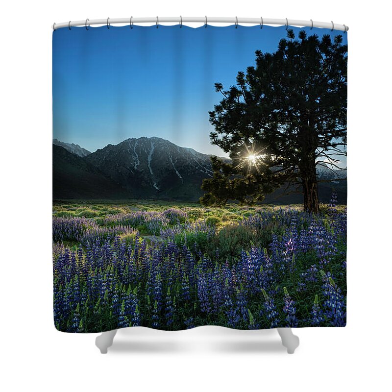 Eastern Sierra Shower Curtain featuring the photograph Eastern Sierra Sunset by Larry Marshall