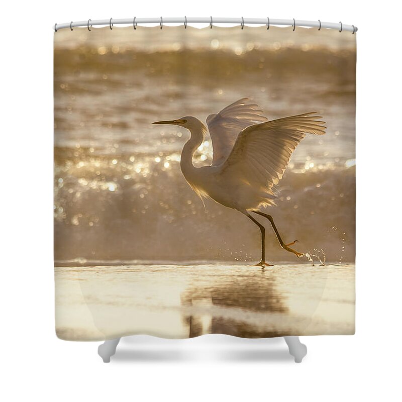 Snowy Egret Shower Curtain featuring the photograph Egret At The Beach On A Sunny Morning by Steven Sparks