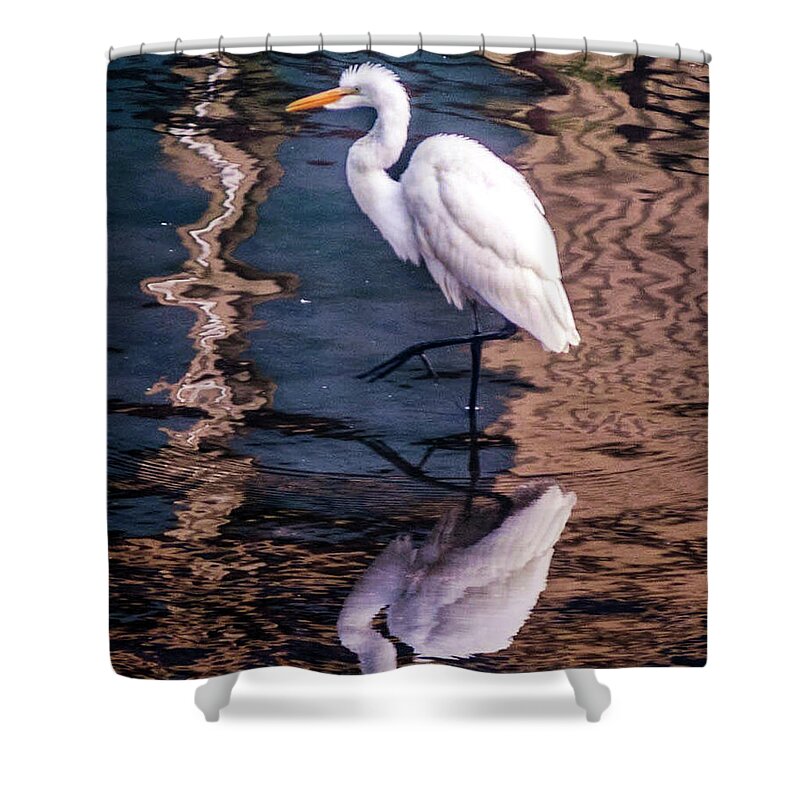 Bird Shower Curtain featuring the photograph Egret in the Water by Tom Gort