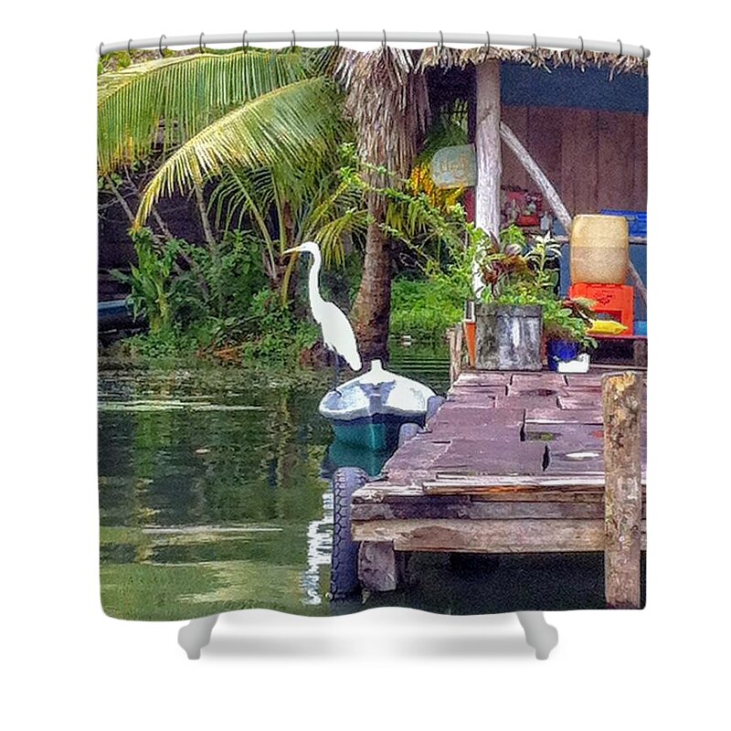 Egret Shower Curtain featuring the photograph Egret on watch by Tina Aye