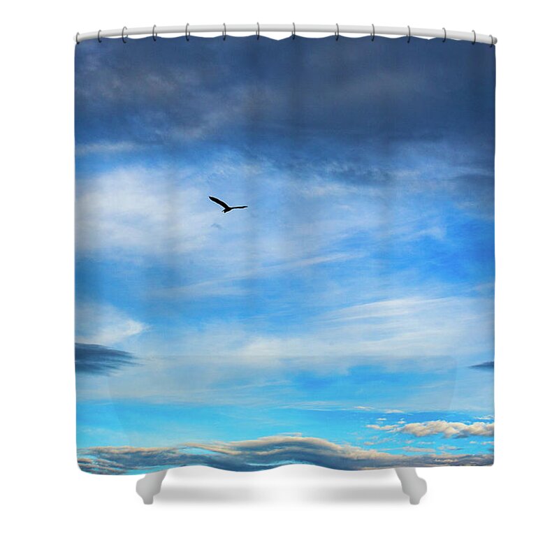 Silhouette Shower Curtain featuring the photograph Egret Silouette by Anthony Jones