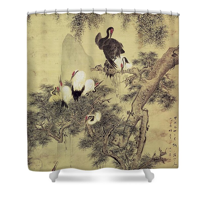 Roost Drawings Shower Curtains