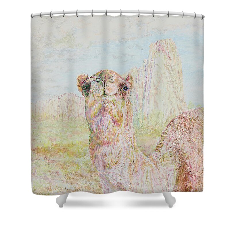 Southwest Shower Curtain featuring the drawing El Morro Camel by Edward Pearce