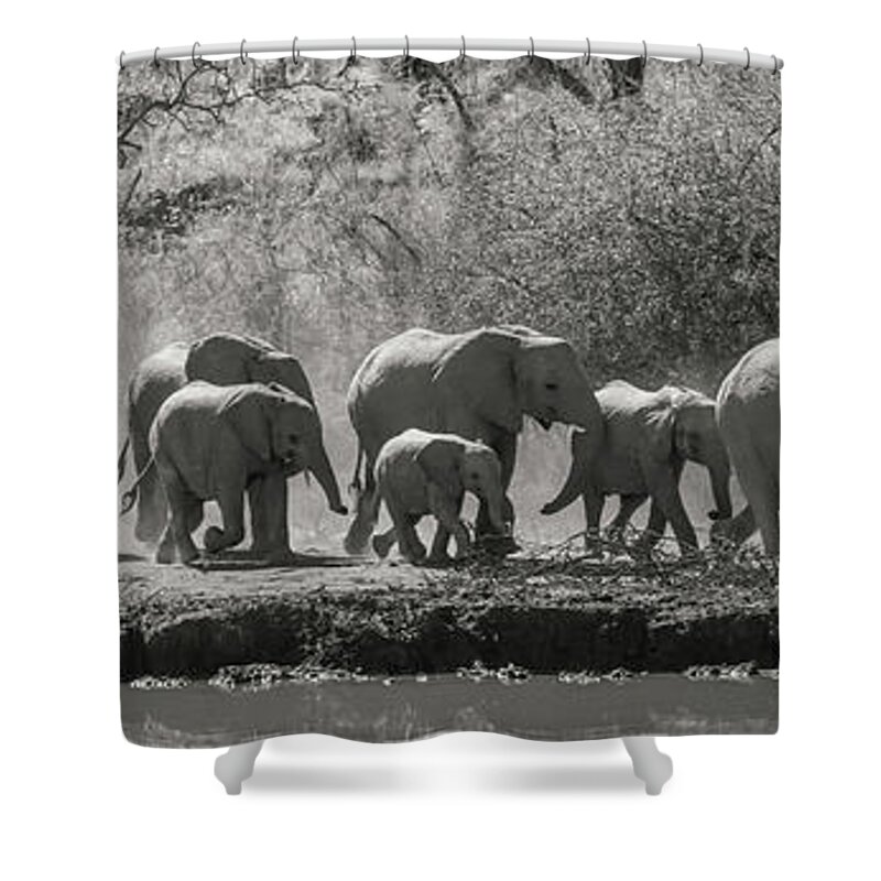 Elephant Shower Curtain featuring the photograph African Elephants Approaching by Mark Hunter