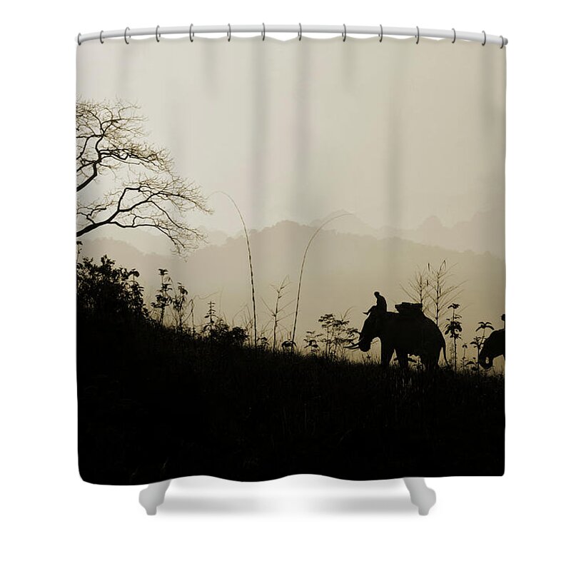 Tropical Rainforest Shower Curtain featuring the photograph Elephants Trekking by Shutterworx
