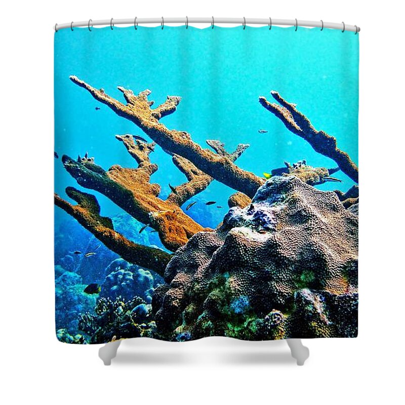 Elkhorn Coral Shower Curtain featuring the photograph Elkhorn by Climate Change VI - Sales