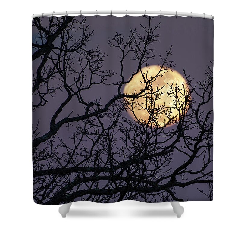 Moon Shower Curtain featuring the photograph Embracing The Moon by Lara Ellis
