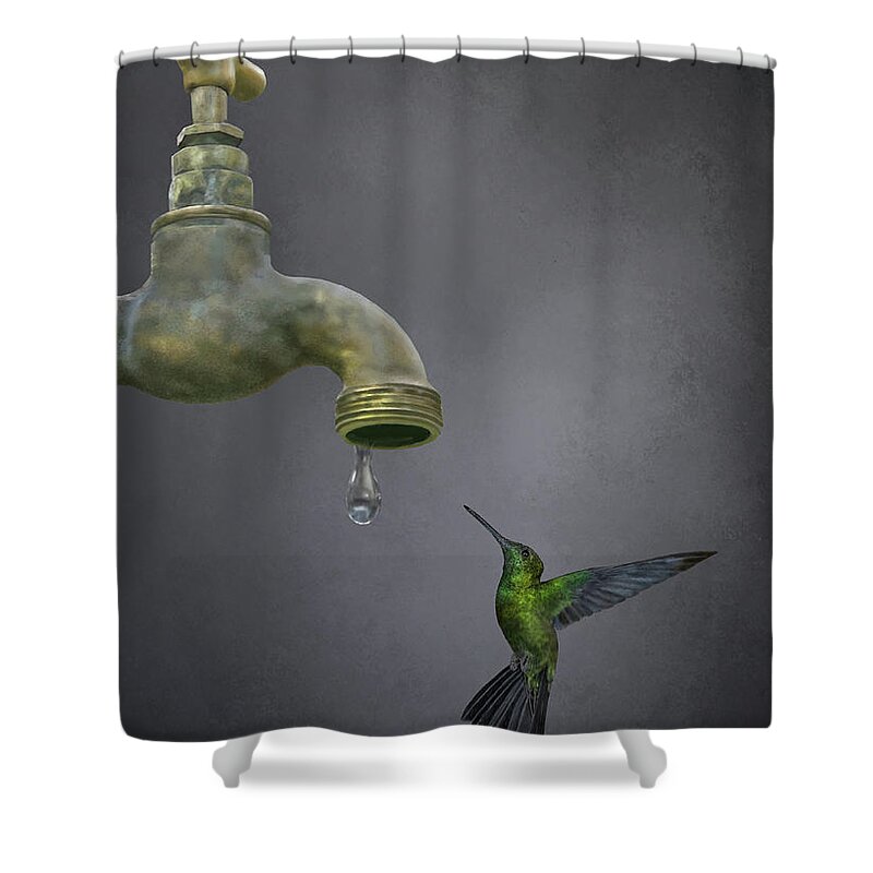 Hummingbird Shower Curtain featuring the digital art Emerald Sprite by Kathie Miller
