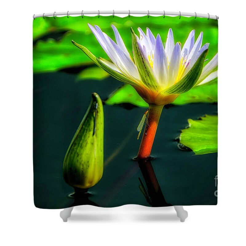 Aquatic Plant Shower Curtain featuring the photograph Emergent by Bill Frische