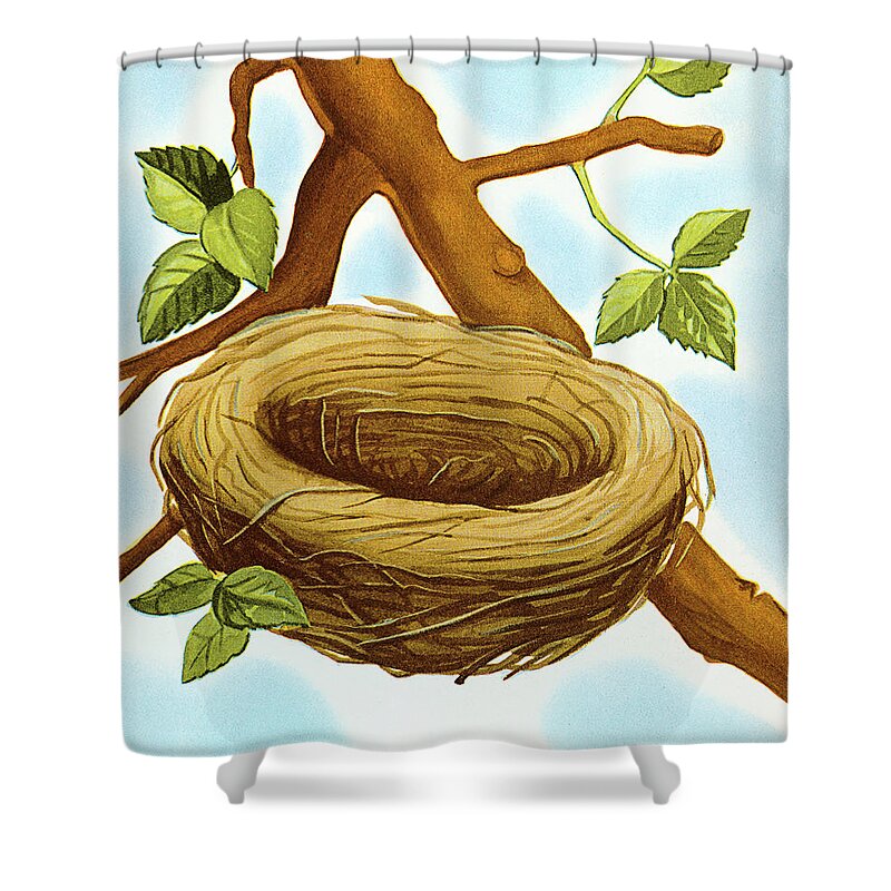 Branch Shower Curtain featuring the drawing Empty Bird's Nest by CSA Images