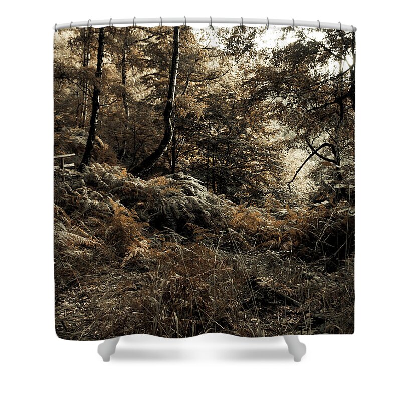 Jenny Rainbow Fine Art Photography Shower Curtain featuring the photograph Enchanted Forest. Gothic by Jenny Rainbow