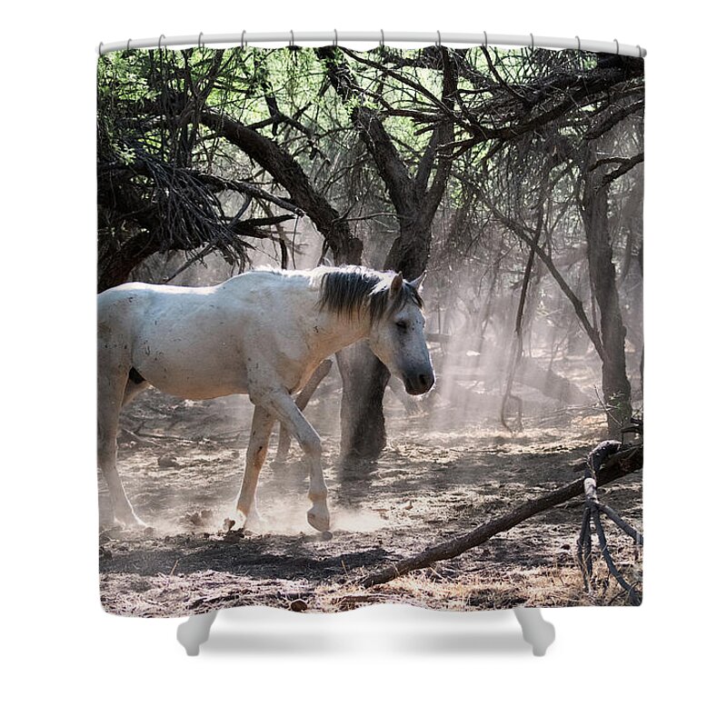 Enchanted Forest Shower Curtain featuring the photograph Enchanted Forest by Shannon Hastings