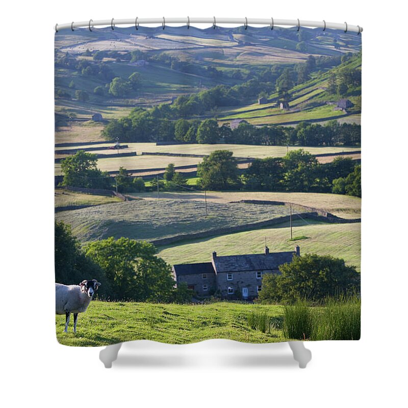 Scenics Shower Curtain featuring the photograph England, Yorkshire, Swaledale, Thwaite by Peter Adams