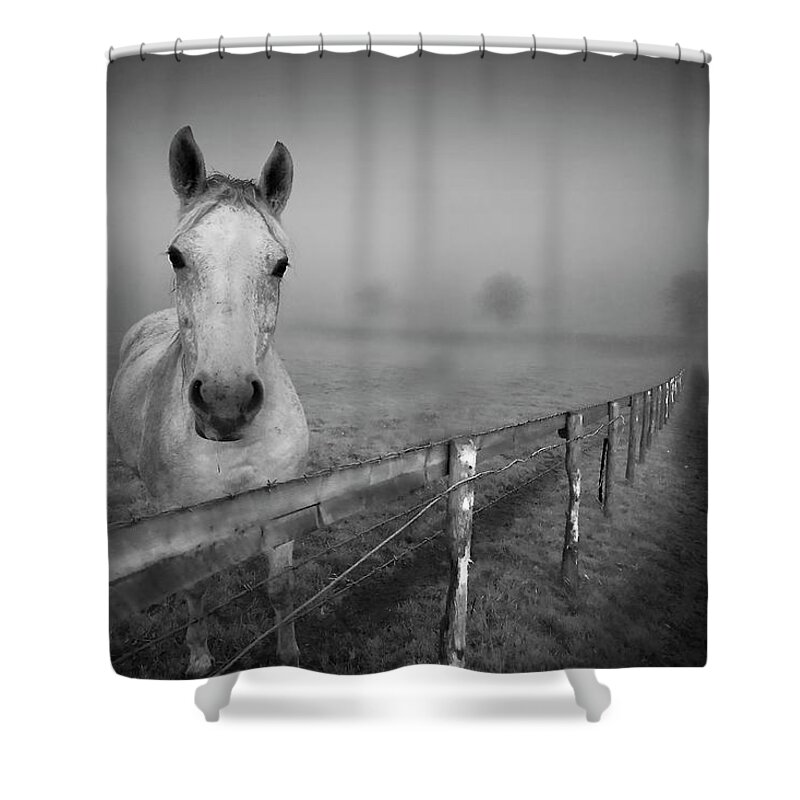 Horse Shower Curtain featuring the photograph Equine Fog by Taken With Passion