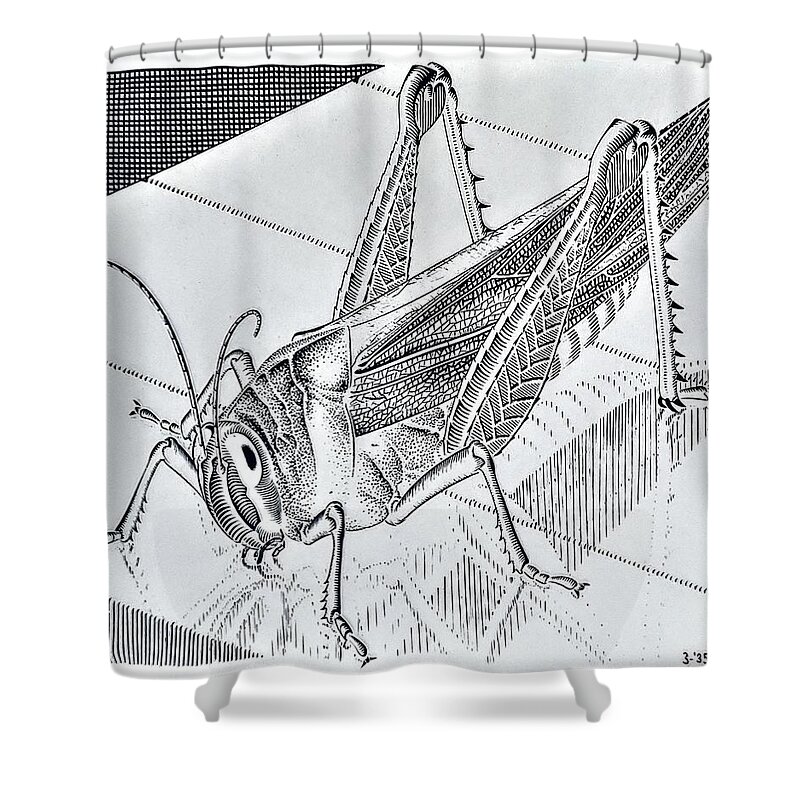 Maurits Cornelis Escher Shower Curtain featuring the photograph Escher 174 by Rob Hans