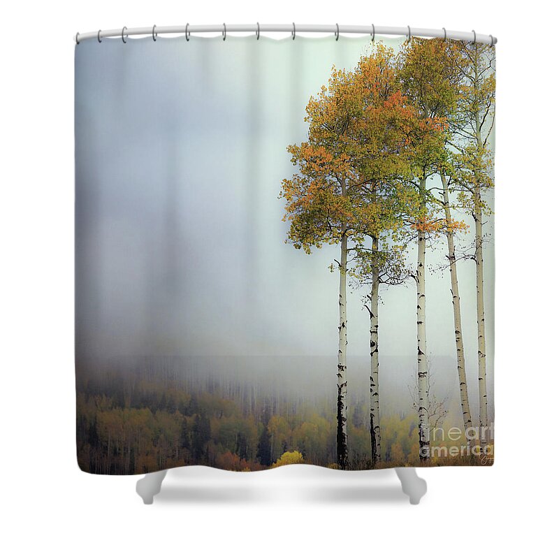 Colorado Shower Curtain featuring the photograph Ethereal Autumn by Doug Sturgess