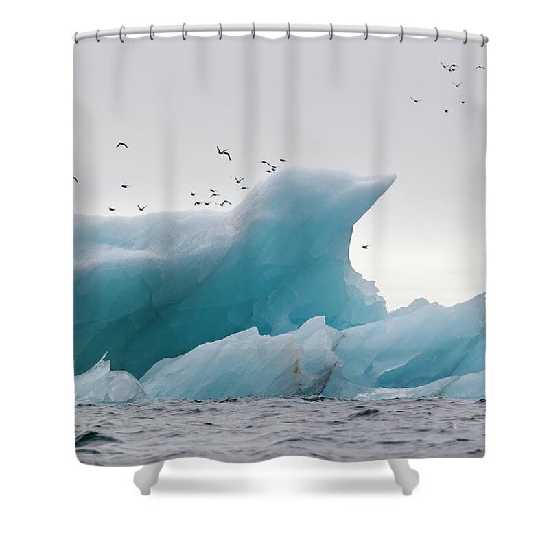 Iceberg Shower Curtain featuring the photograph Europe, Norway, Spitsbergen, Svalbard by Westend61