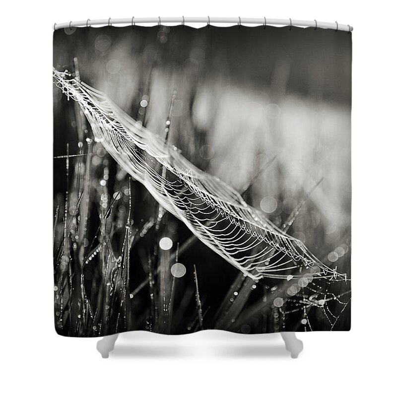 Black And White Shower Curtain featuring the photograph Everything by Michelle Wermuth