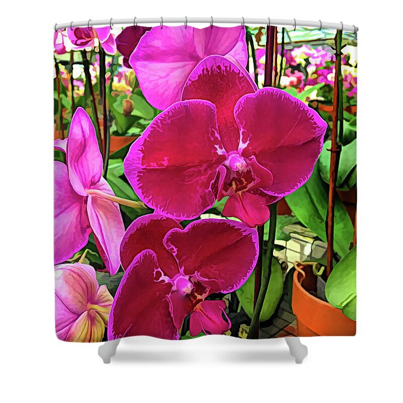 Orchid Flower Shower Curtain featuring the photograph Beautiful Exotic Orchid Artwork 01 by Carlos Diaz