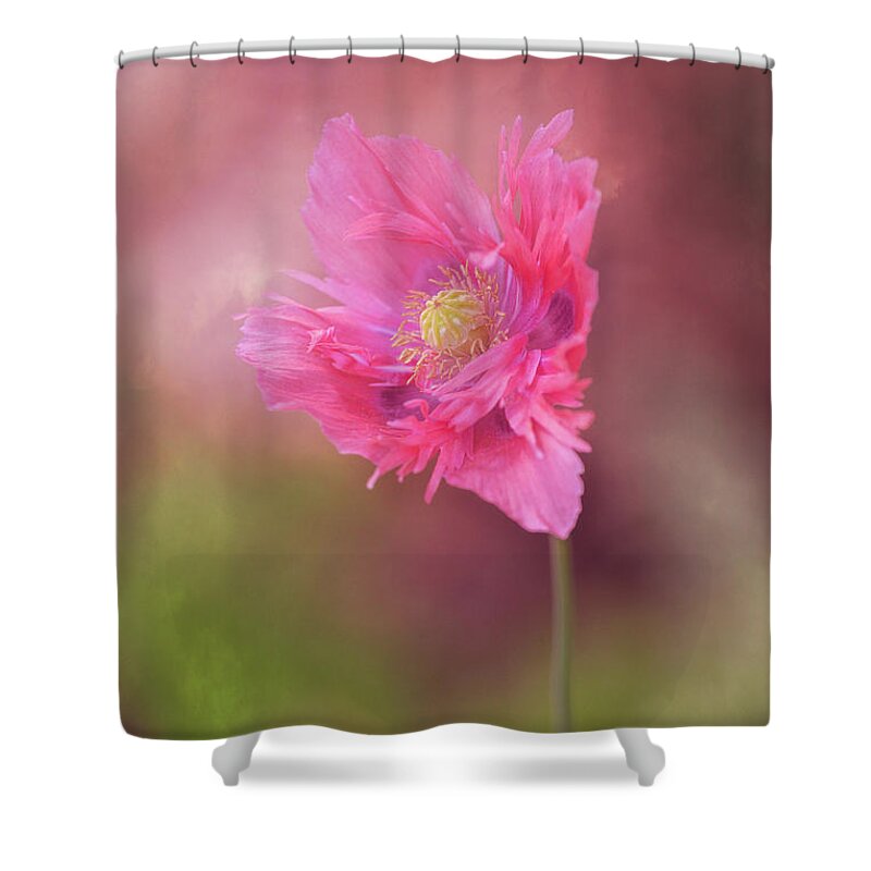 Exquisite Appeal Shower Curtain featuring the photograph Exquisite Appeal by Dale Kincaid