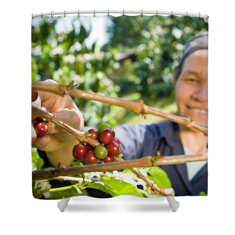 Asian And Indian Ethnicities Shower Curtain featuring the photograph Fair Trade Coffee Farmer by Ranplett