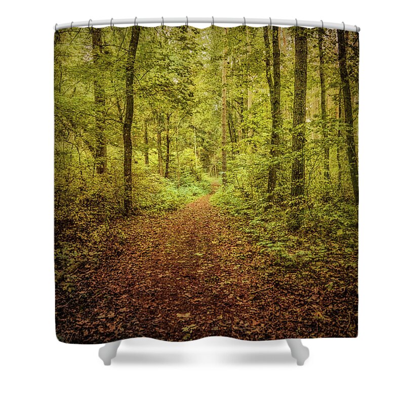 Fairy Forest Shower Curtain featuring the photograph Fairy forest #i0 by Leif Sohlman