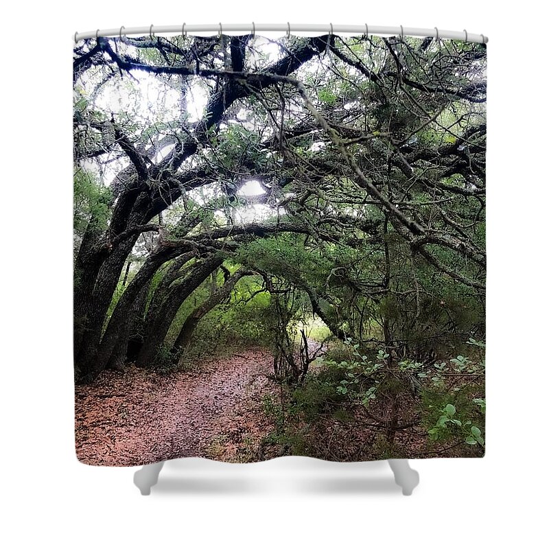Landscape Shower Curtain featuring the photograph Fairytale Lane by Kelly Thackeray