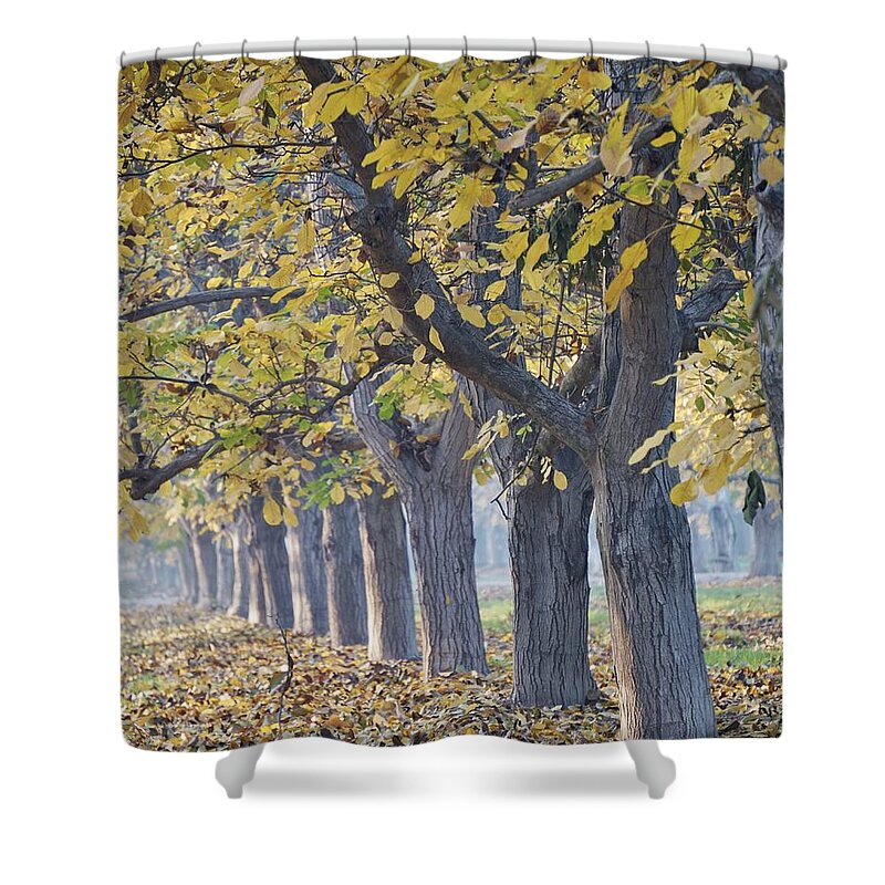 Scenic Shower Curtain featuring the photograph Fall Orchard by Brett Harvey