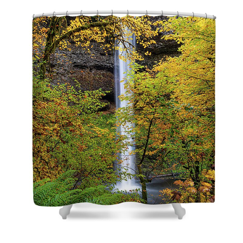 Silver Falls Shower Curtain featuring the photograph Fall colors at the Southfalls by Ulrich Burkhalter