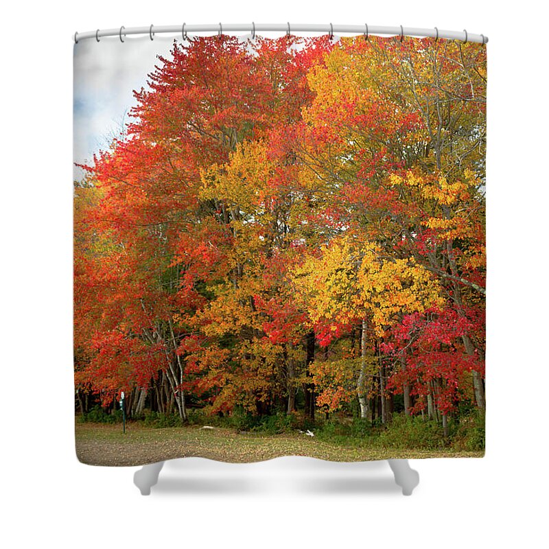 Autumn Shower Curtain featuring the photograph Fall Colors by Doug Camara
