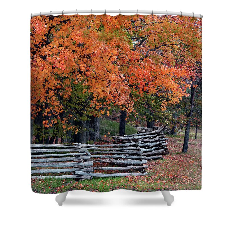 Split Rail Fence Shower Curtain featuring the photograph Fall Colors Split Rail Fence by David T Wilkinson