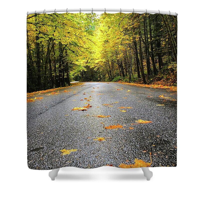 The Bright Yellows On The Fall Drive Were Stunning! Shower Curtain featuring the photograph Fall Drive by Brian Eberly