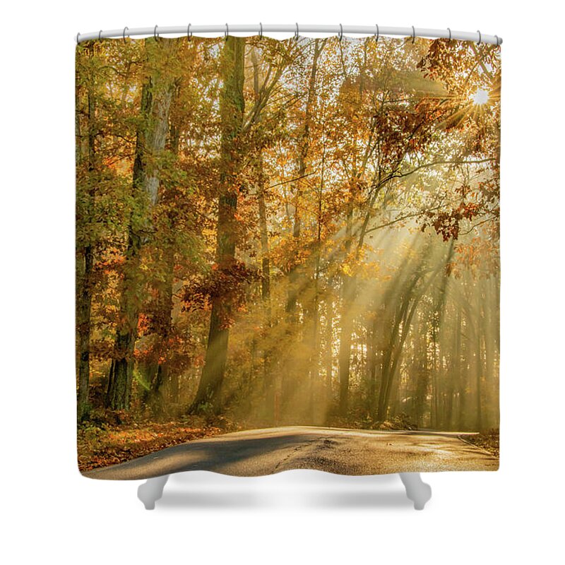 Fall Shower Curtain featuring the photograph Fall, Glorious Fall by Marcy Wielfaert